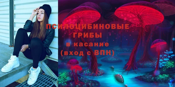 ПСИЛОЦИБИНОВЫЕ ГРИБЫ Баксан